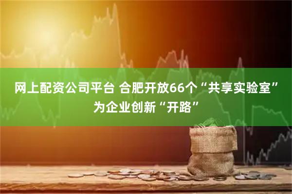 网上配资公司平台 合肥开放66个“共享实验室”为企业创新“开路”
