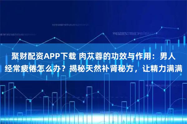 聚财配资APP下载 肉苁蓉的功效与作用：男人经常疲倦怎么办？揭秘天然补肾秘方，让精力满满