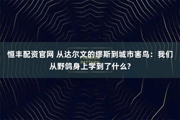 恒丰配资官网 从达尔文的缪斯到城市害鸟：我们从野鸽身上学到了什么?