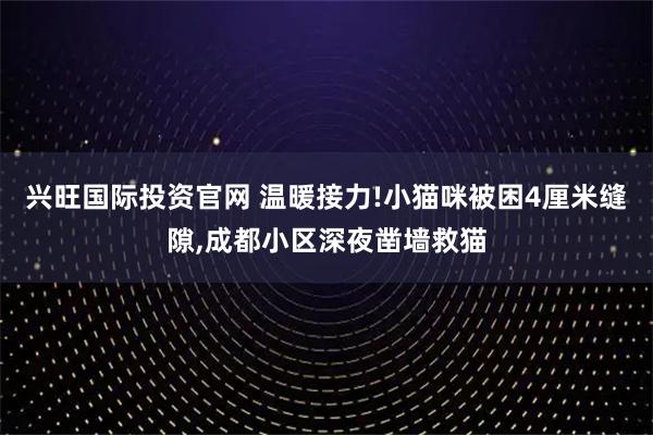 兴旺国际投资官网 温暖接力!小猫咪被困4厘米缝隙,成都小区深夜凿墙救猫