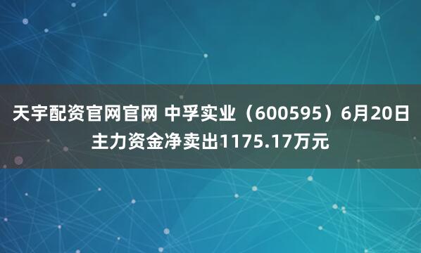 天宇配资官网官网 中孚实业(600595)6月20日主力资金净卖出1175.17万元