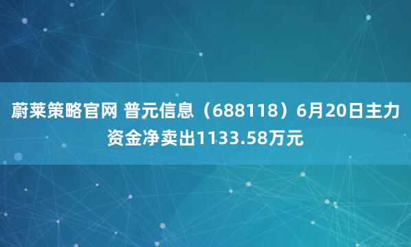 蔚莱策略官网 普元信息（688118）6月20日主力资金净卖出1133.58万元
