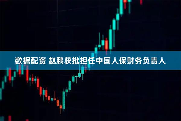 数据配资 赵鹏获批担任中国人保财务负责人