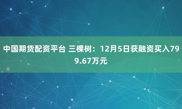中国期货配资平台 三棵树：12月5日获融资买入799.67万元
